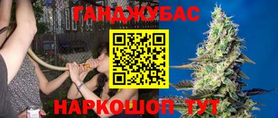 сатива Сланцы