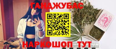 сатива Сланцы