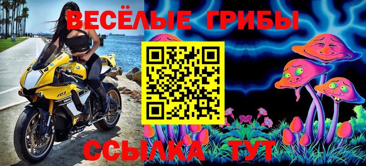 Галлюциногенные грибы прущие грибы Усть-Илимск